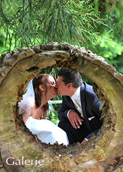 Hochzeitsfotos Galerie - Paar küsst sich. Blick durch Baumstamm